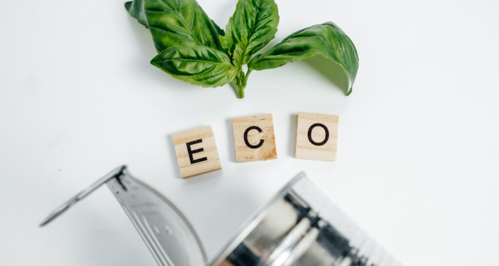 Apa Itu Kertas Fsc Panduan Singkat Untuk Anak Muda Yang Peduli Lingkungan