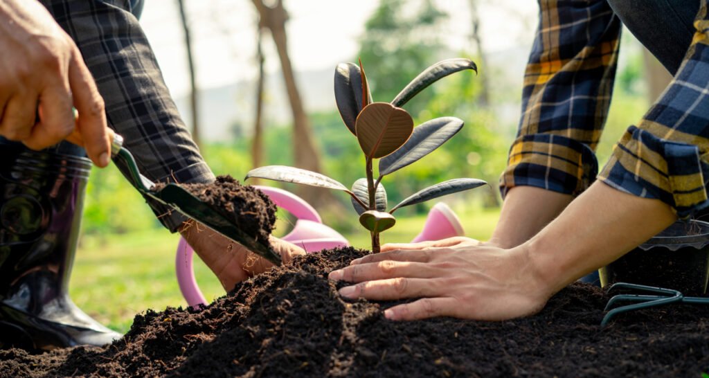 Bagaimana Kertas Fsc Membantu Menyelamatkan Hutan Cerita Dari Belakang Layar