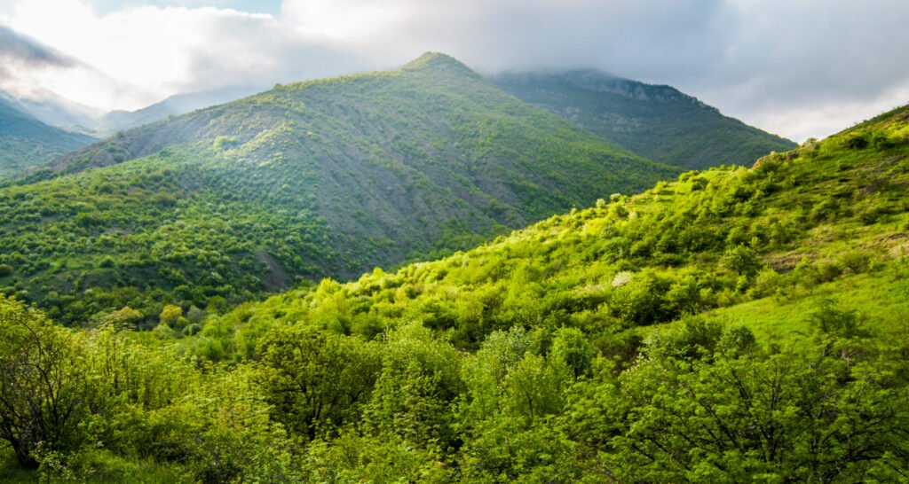 Mengapa Kertas Fsc Itu Keren Tren Hijau Yang Perlu Dijaga